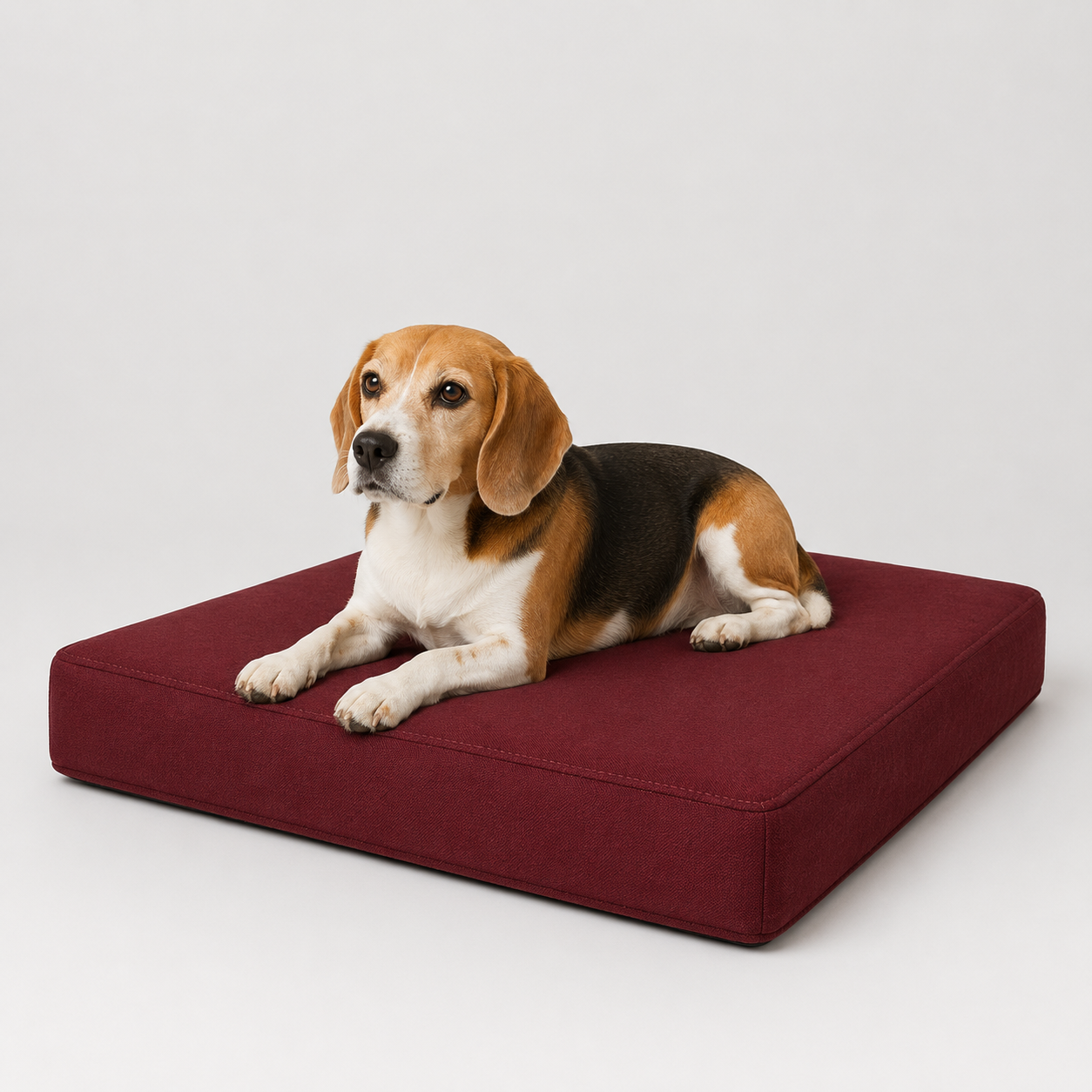 Jr OG Orthopedic Bed