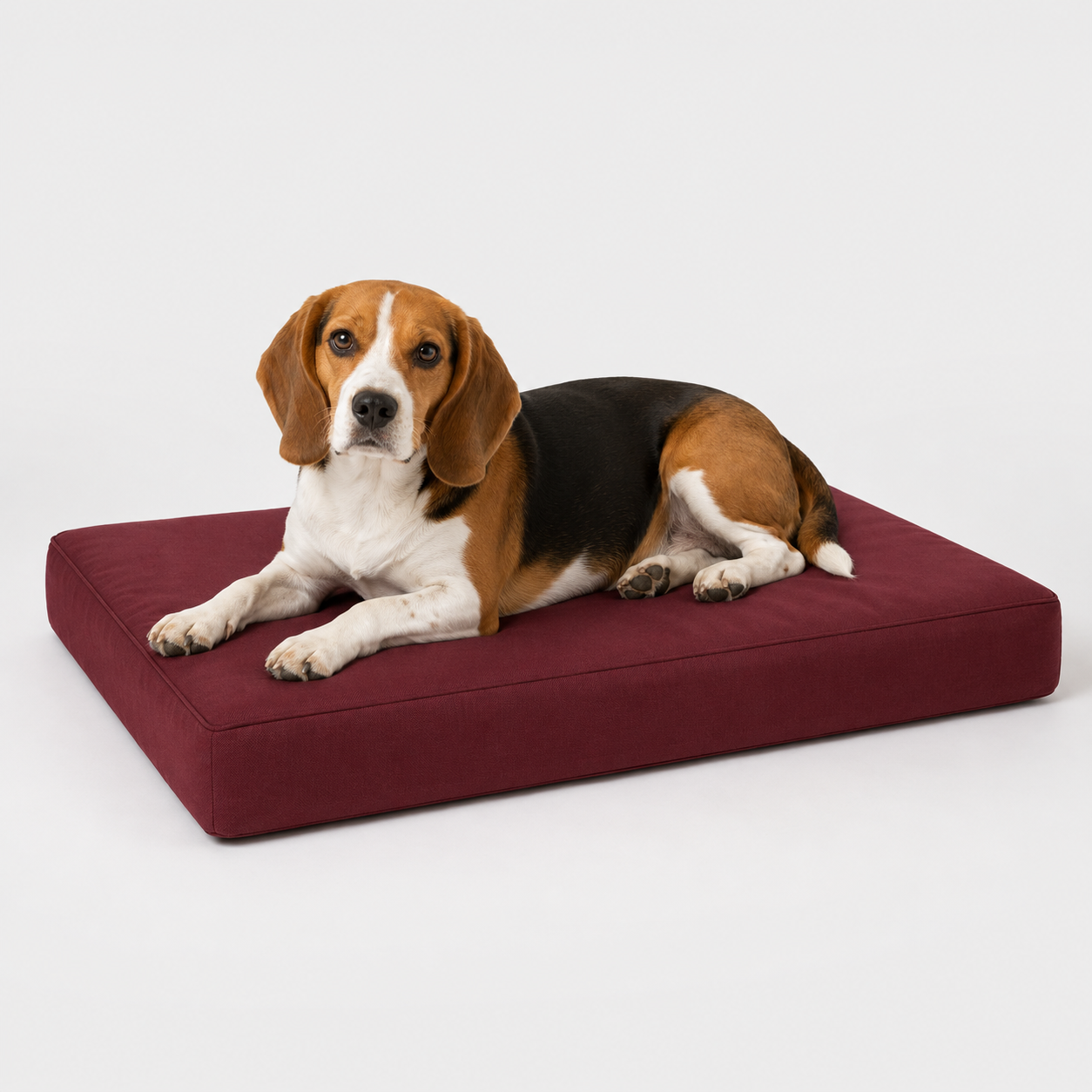 Jr OG Orthopedic Bed