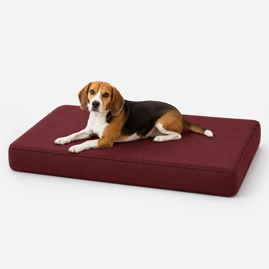 Jr OG Orthopedic Bed