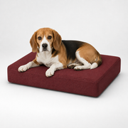 Jr OG Orthopedic Bed