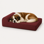 OG Orthopedic Bed