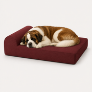 OG Orthopedic Bed