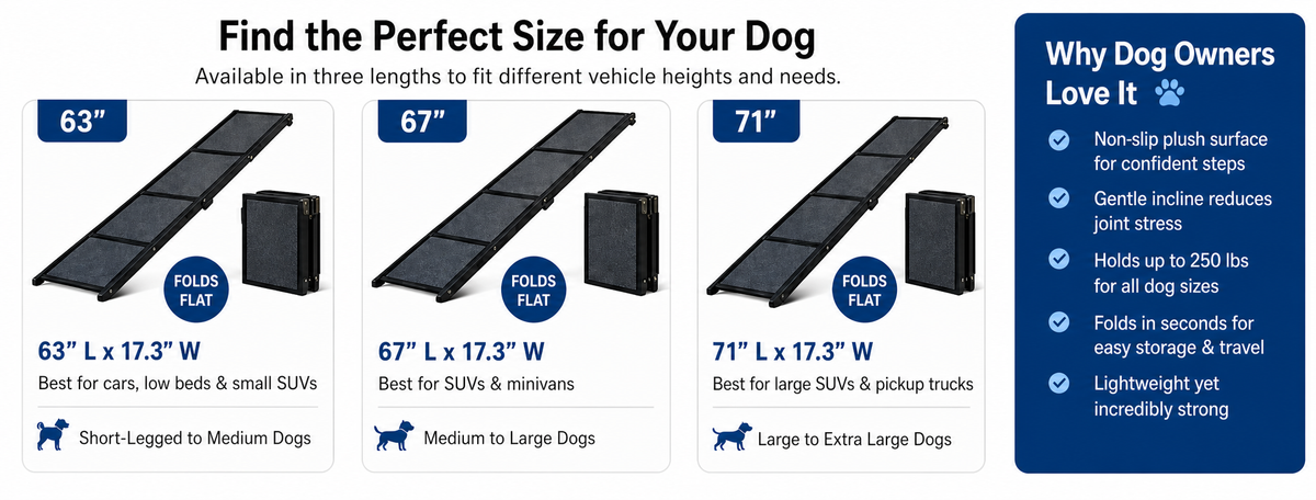 Find the perfect ramp size for your dog — 63, 67, and 71 inch options